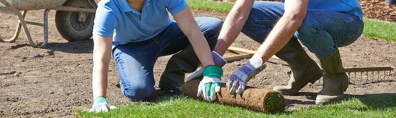 Laying new turf